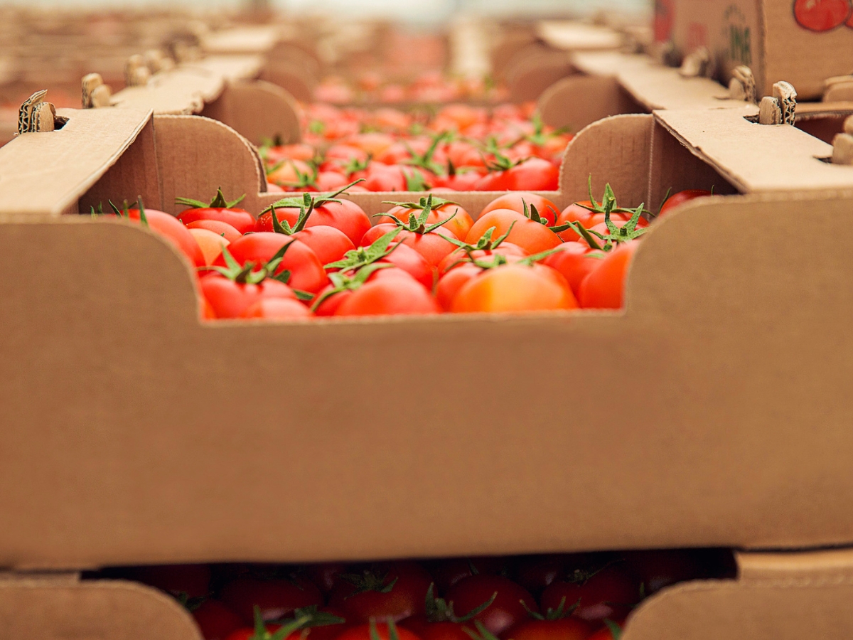 Keep away from moisture. - Photo Gallery