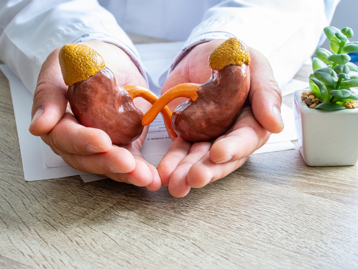 Excessive sugar consumption - Photo Gallery