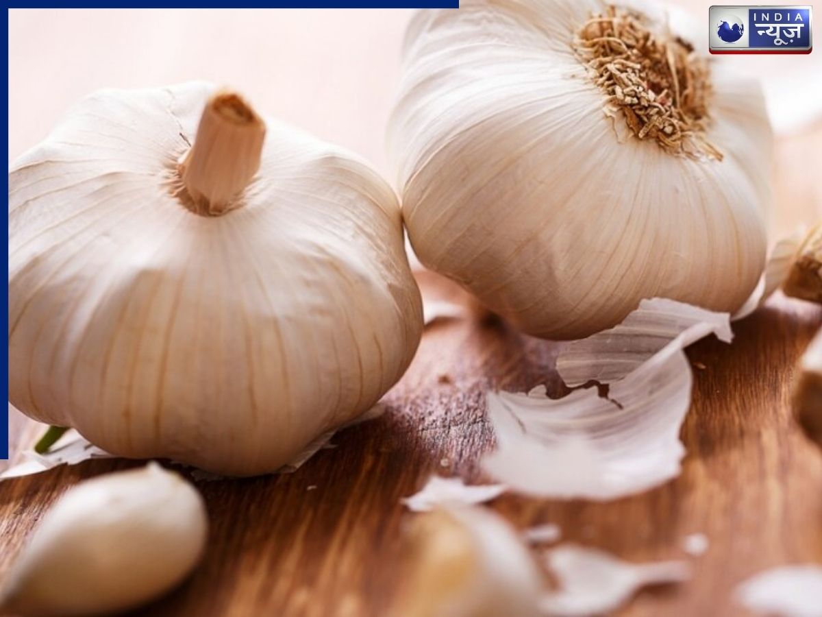 खाली पेट लहसुन की एक कली, हार्ट, ब्लड प्रेशर से लेकर कोलेस्ट्रॉल तक, शरीर को मिलते हैं कई फायदे