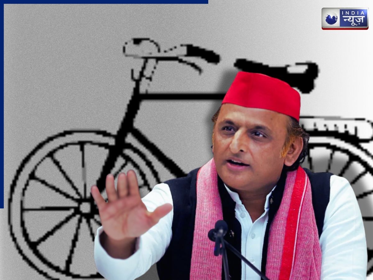 कोई विधायक तो कोई सांसद, अखिलेश यादव के परिवार के कितने सदस्य राजनीति में सक्रिय? जानें पूरी फैमिली ट्री