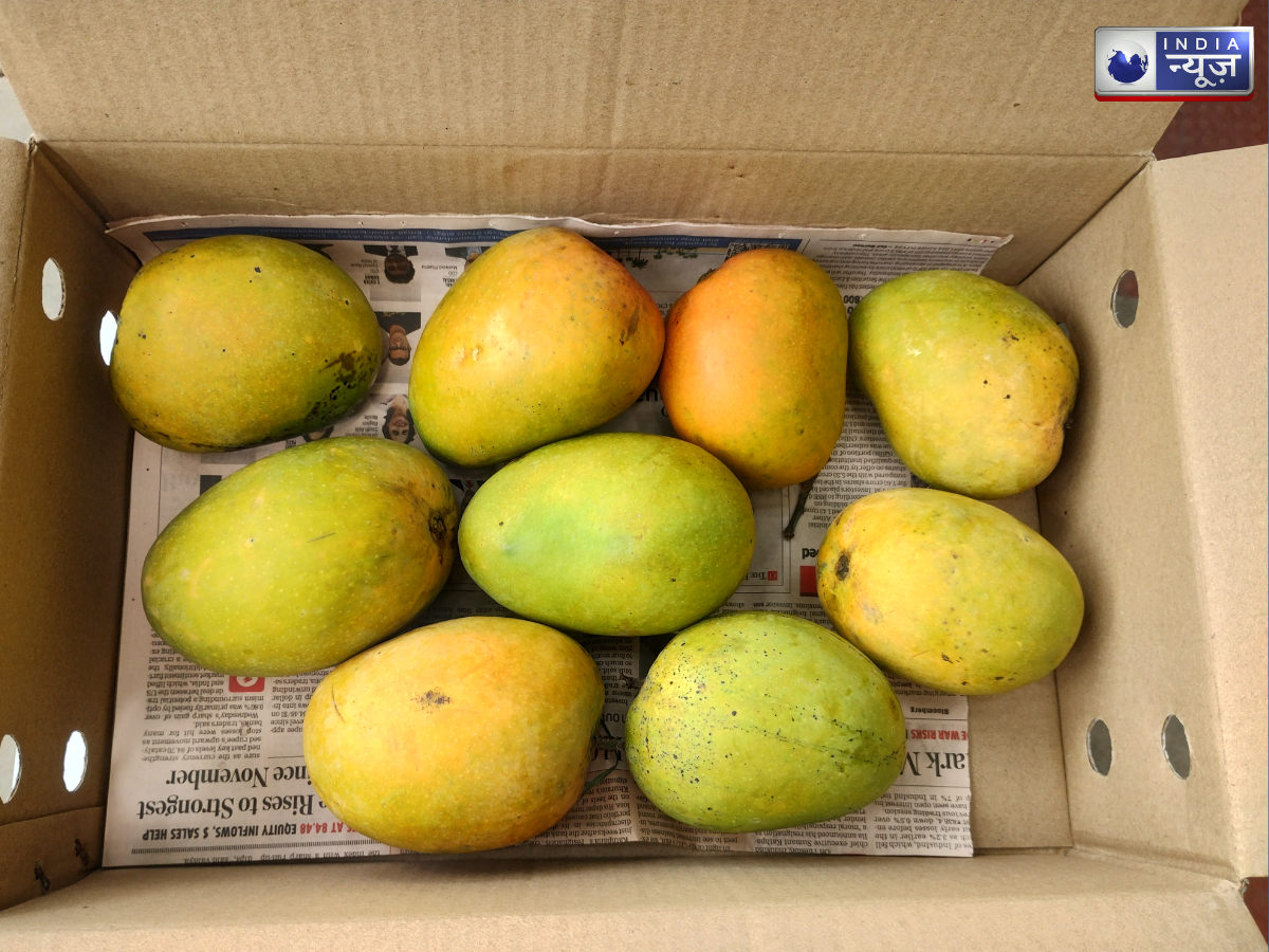 Alphonso mango - Photo Gallery