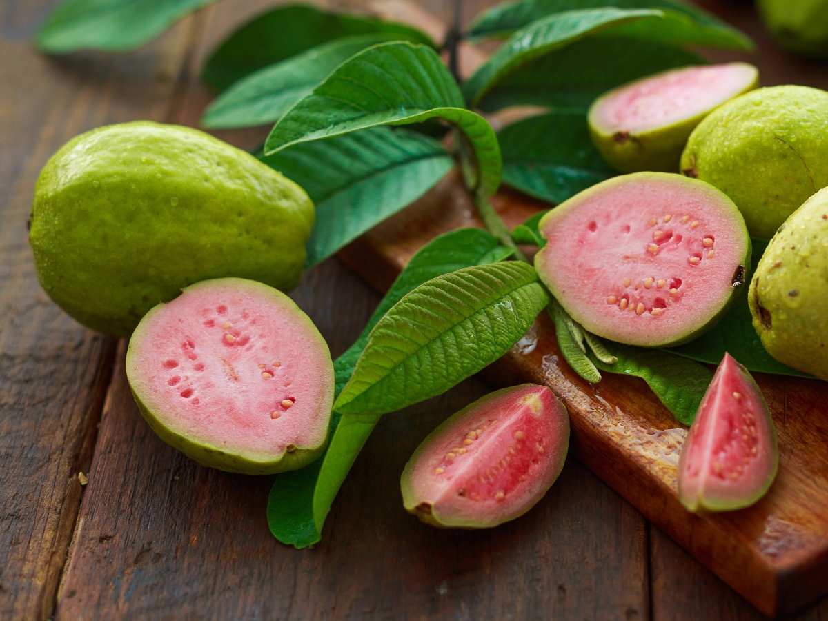 Guava - Photo Gallery