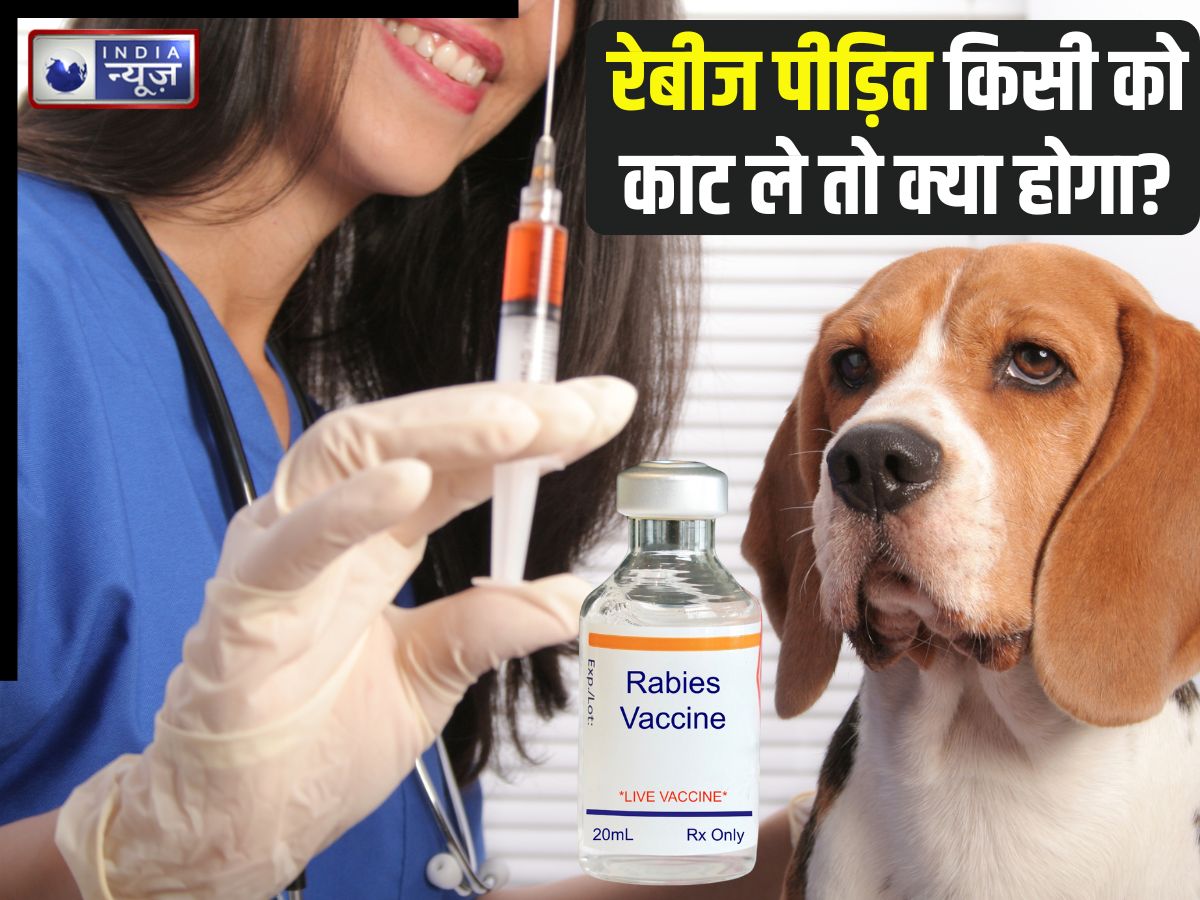 अगर रेबीज का मरीज किसी इंसान को काट ले तो क्या होगा? वायरस का खतरा होगा या नहीं, डॉक्टर से समझिए