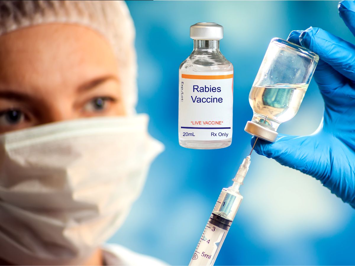 साहब! बहन ने काट लिया रैबीज वैक्सीन दे दो… जब घबराया युवक पहुंच गया अस्पताल? फिर आगे क्या हुआ