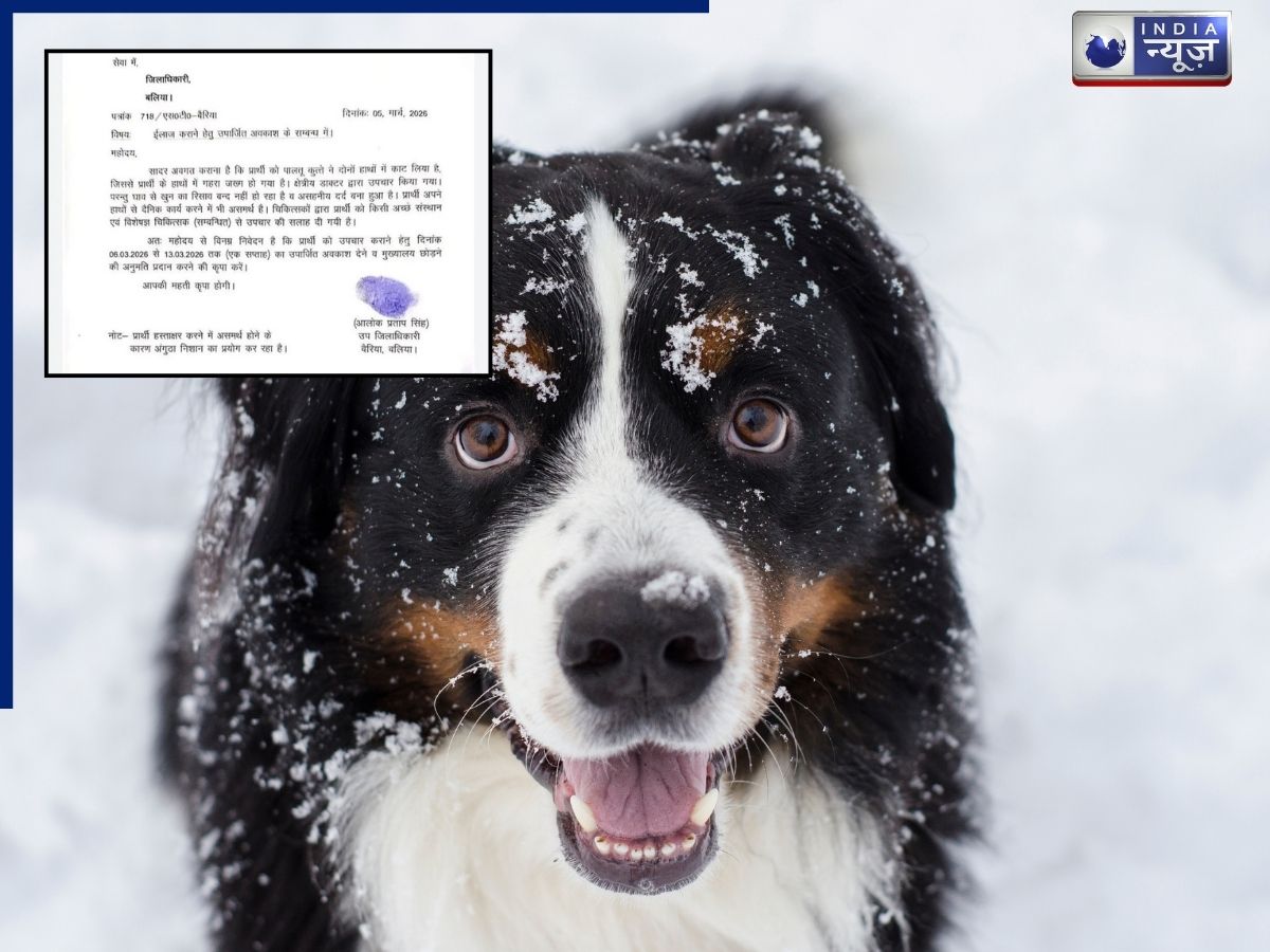 बलिया: पालतू कुत्ते ने SDM के साथ ऐसा क्या कि एप्लीकेशन फॉर्म पर सिग्नेचर करने के बजाय लगाया अंगूठा, लेनी पड़ी 8 दिन की छुट्टी