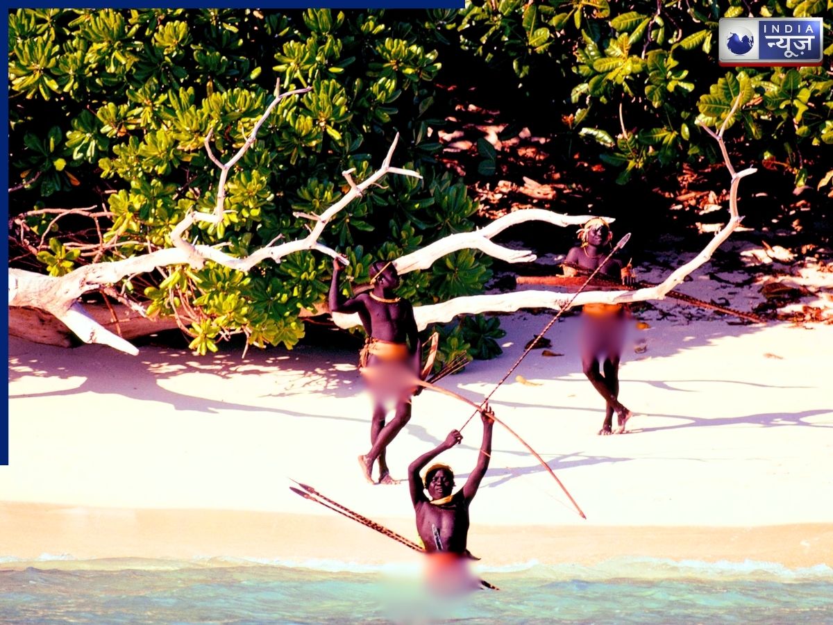 The Habitat of the Sentinelese Tribe - Photo Gallery