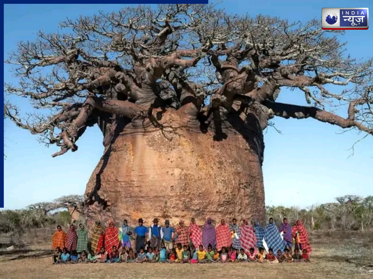 Living Water Tank - Photo Gallery