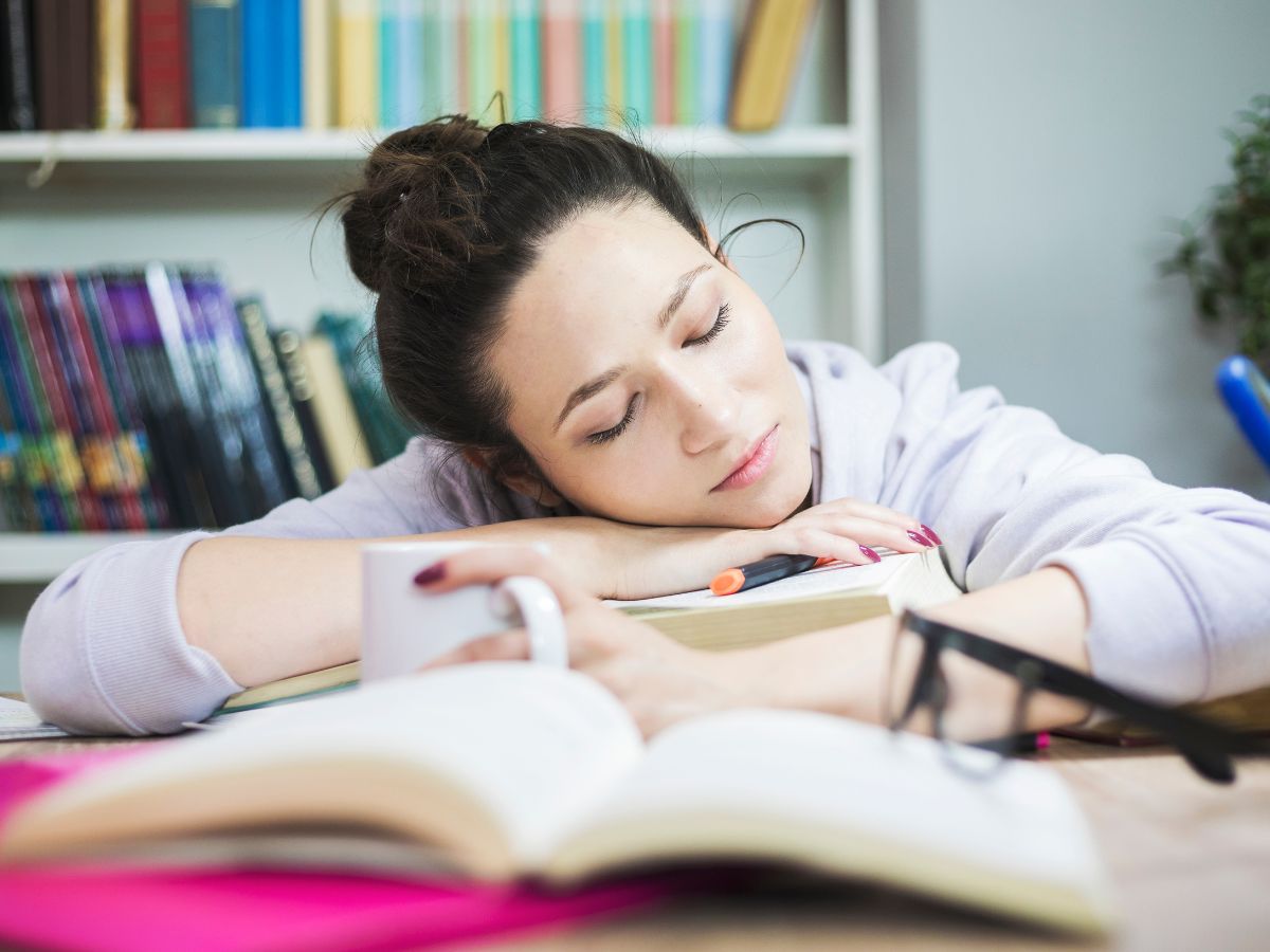 boaring study - Photo Gallery