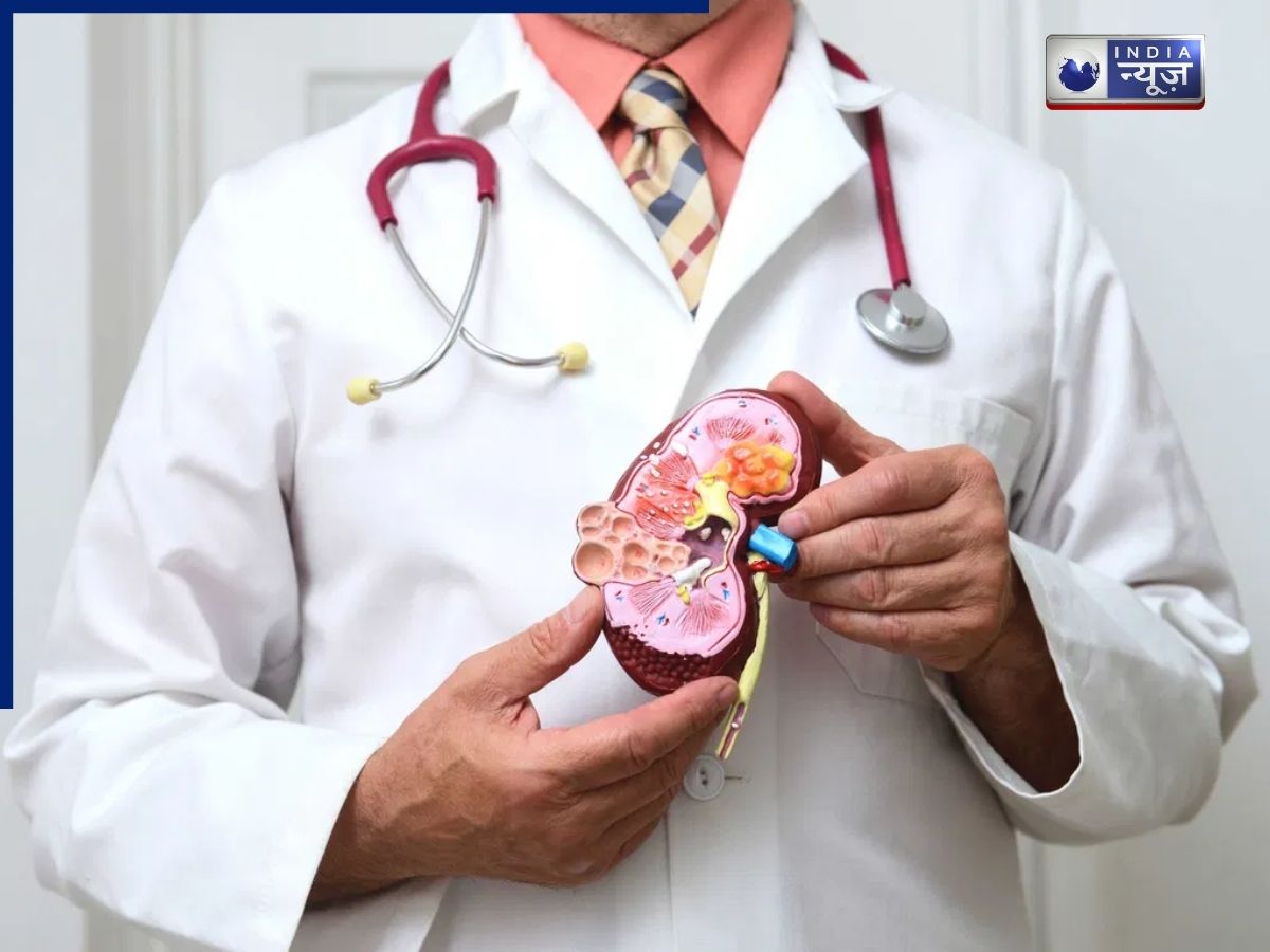 Kidney Risk in Children: किन बच्चों को किडनी खराब होने का खतरा ज्यादा? कौन से लक्षण देते हैं चेतावनी, कैसे बचें