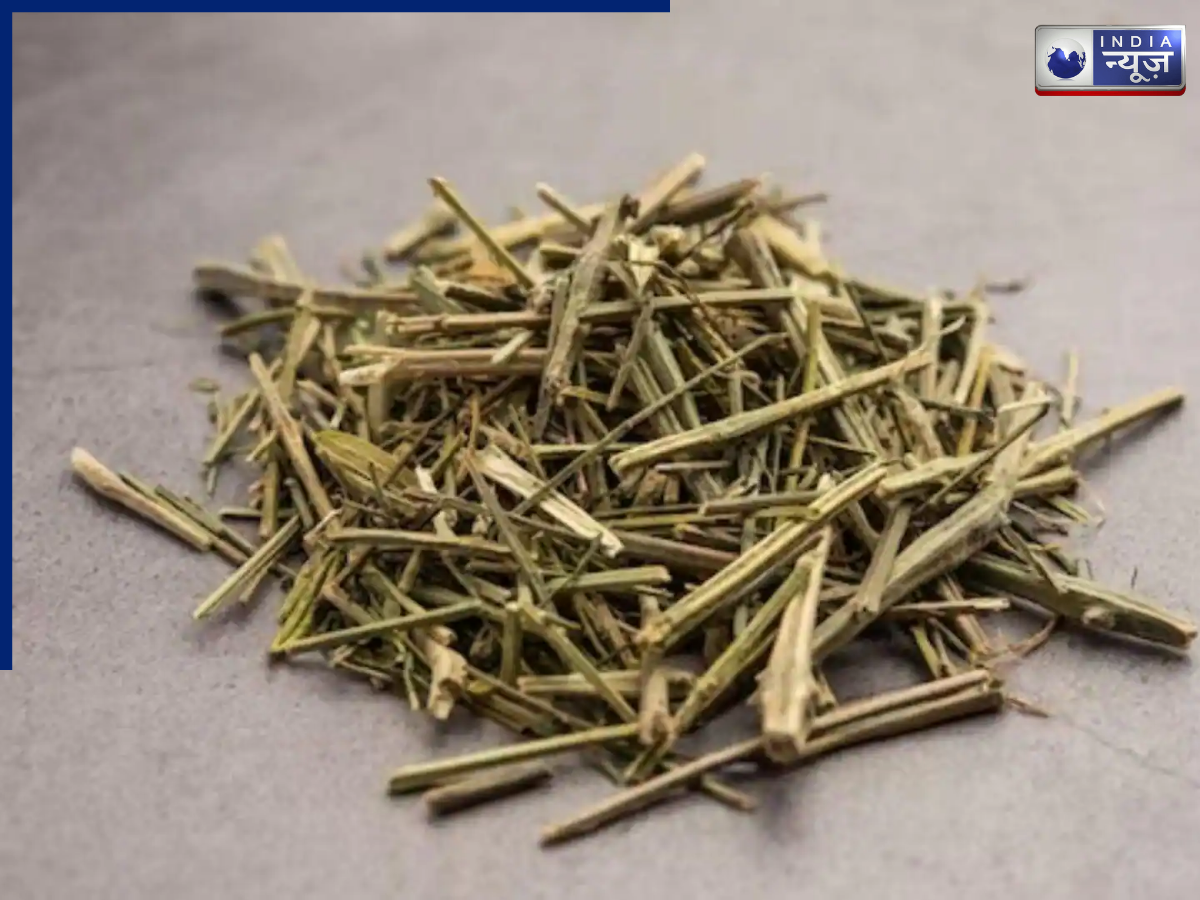 Controls Blood Sugar - Photo Gallery