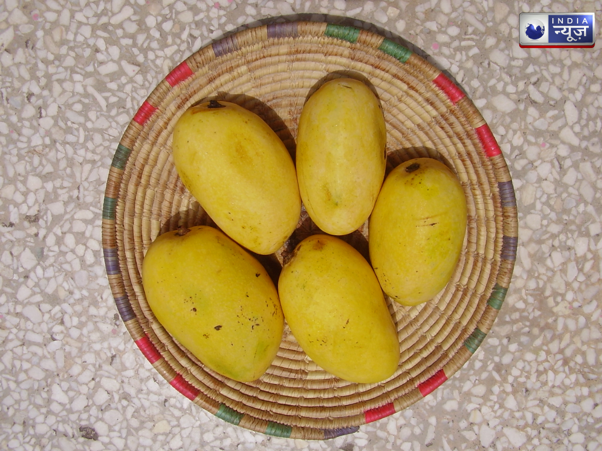 chausa aam - Photo Gallery