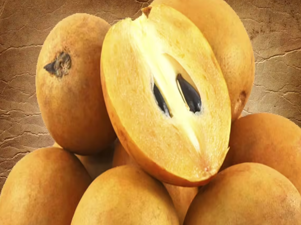 chikoo - Photo Gallery