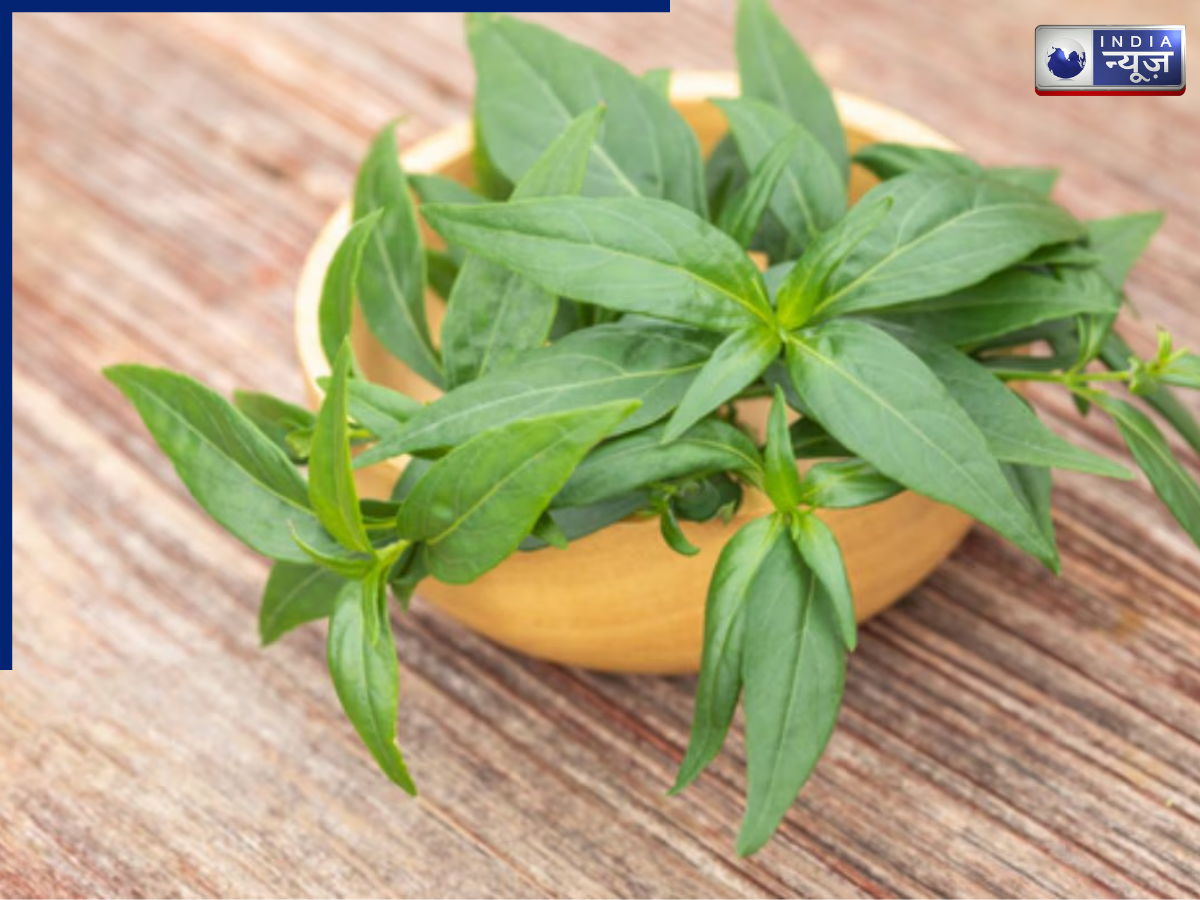 Recovery from Fever - Photo Gallery