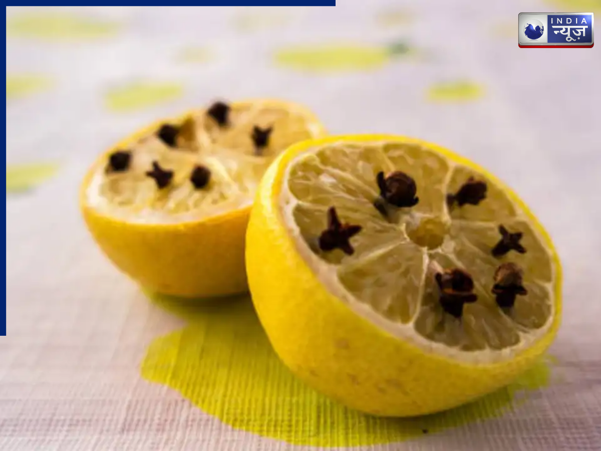 Cloves and lemon slices - Photo Gallery