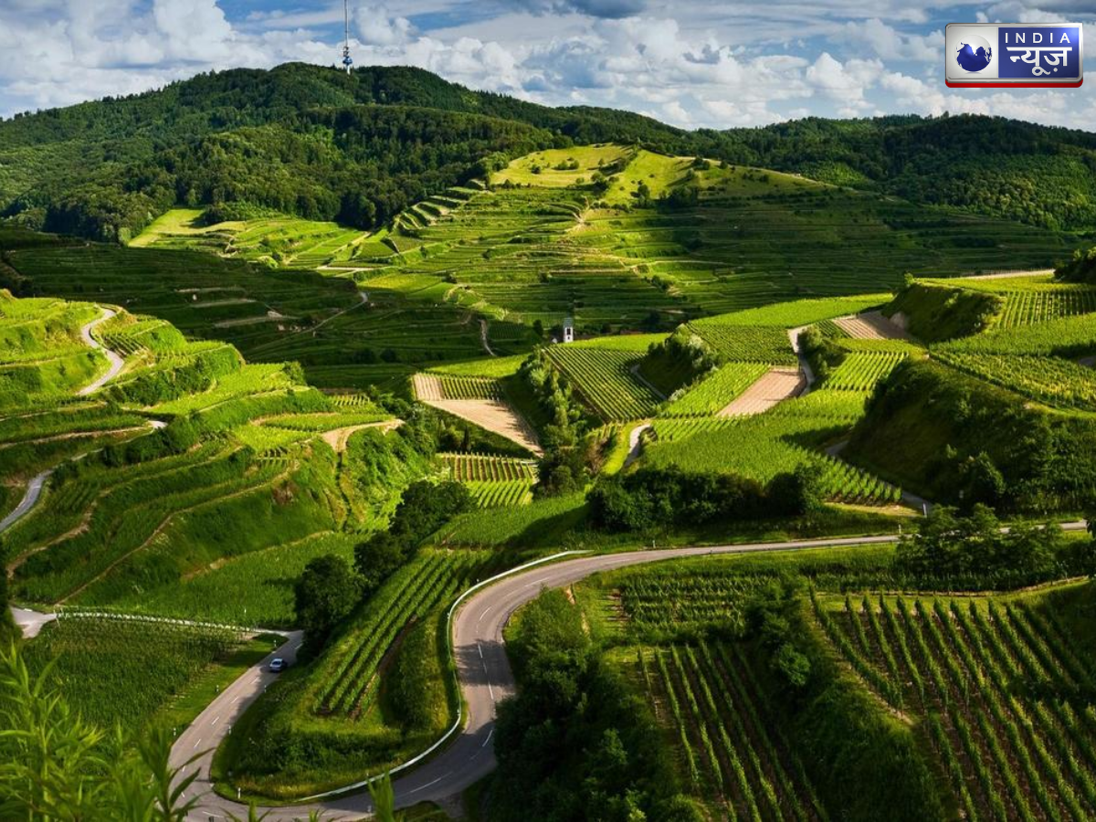 coorg - Photo Gallery