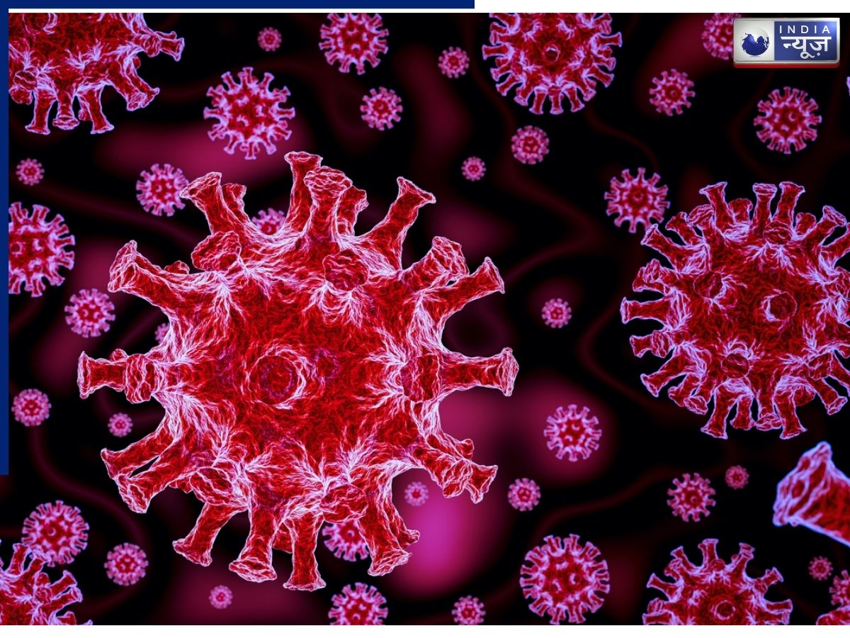 What do 75 mutations in COVID-19 Cicada mean? - Photo Gallery