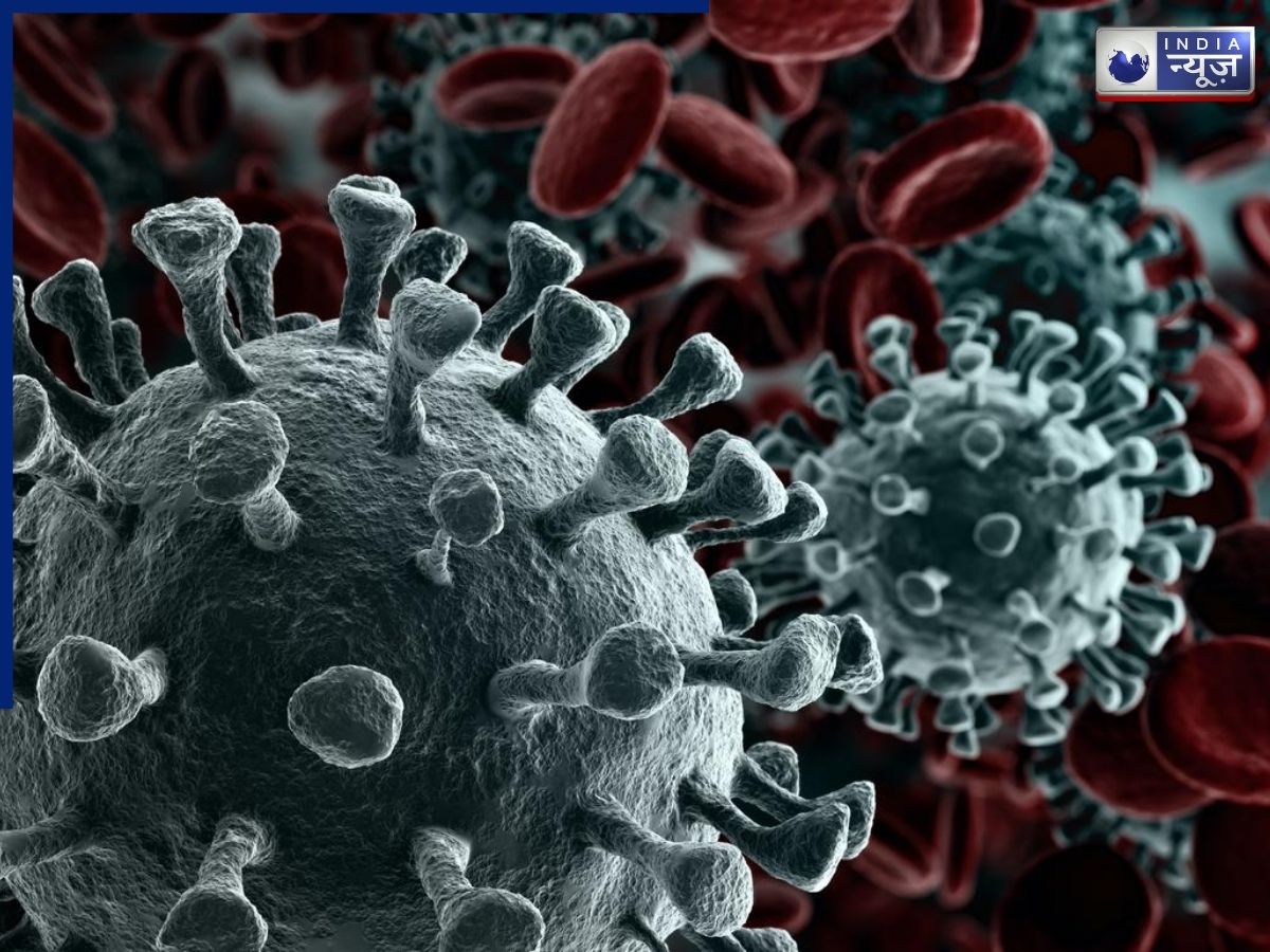 Experts' Opinions on the COVID-19 Cicada (BA.3.2) Variant - Photo Gallery