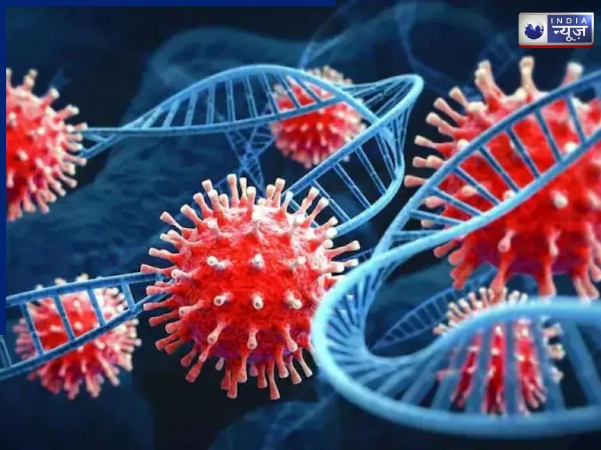 U.S. Health Experts' Views on the New COVID Variant, Cicada - Photo Gallery