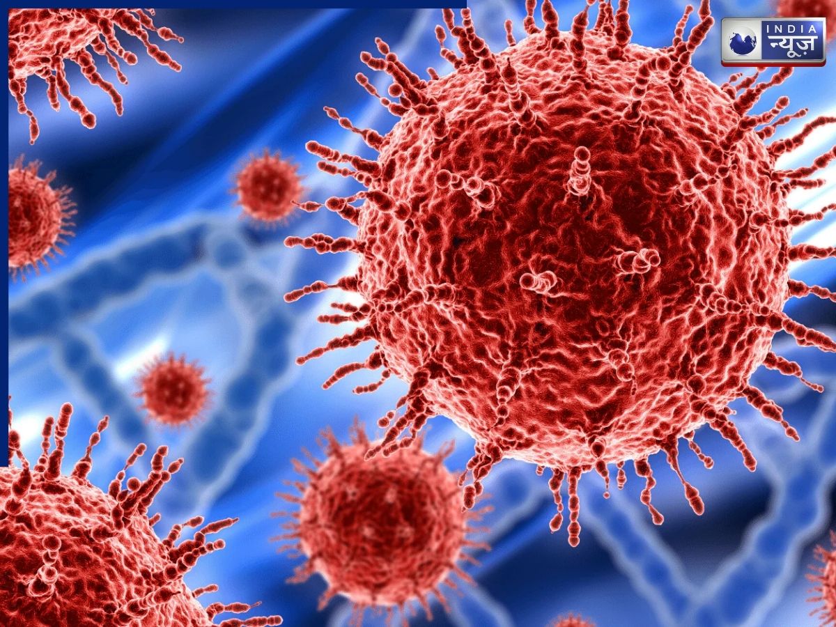 What is the story behind the name of the COVID-19 Cicada (BA.3.2) variant? - Photo Gallery