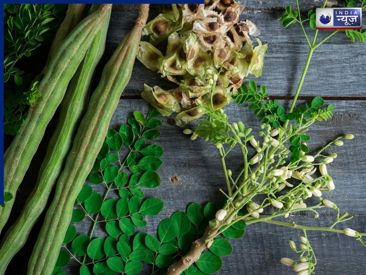 Moringa Benefits: महिलाओं के लिए सुपरफूड मोरिंगा, पीरियड्स से लेकर एनर्जी तक फायदे, बरते सावधानियां