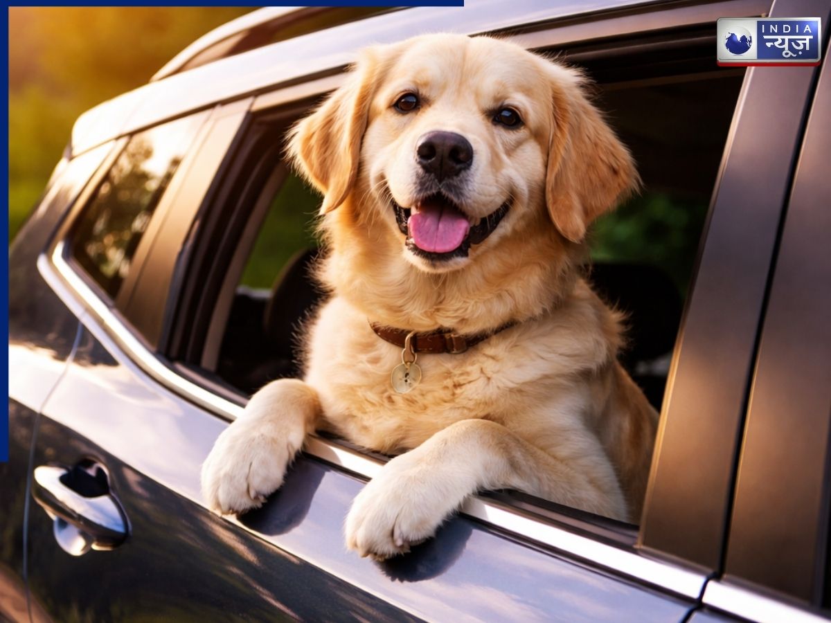 पालतू जानवरों को घुमाने के लिए लें ये 5 SUV, बड़ा बूट स्पेस अच्छा इंटीरियर, और भी मजेदार होगा सफर