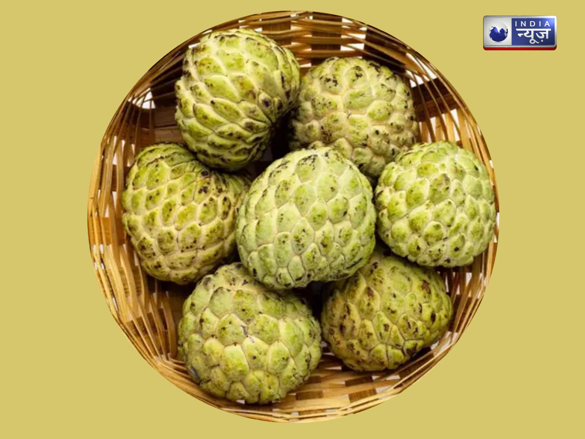 custard apple - Photo Gallery