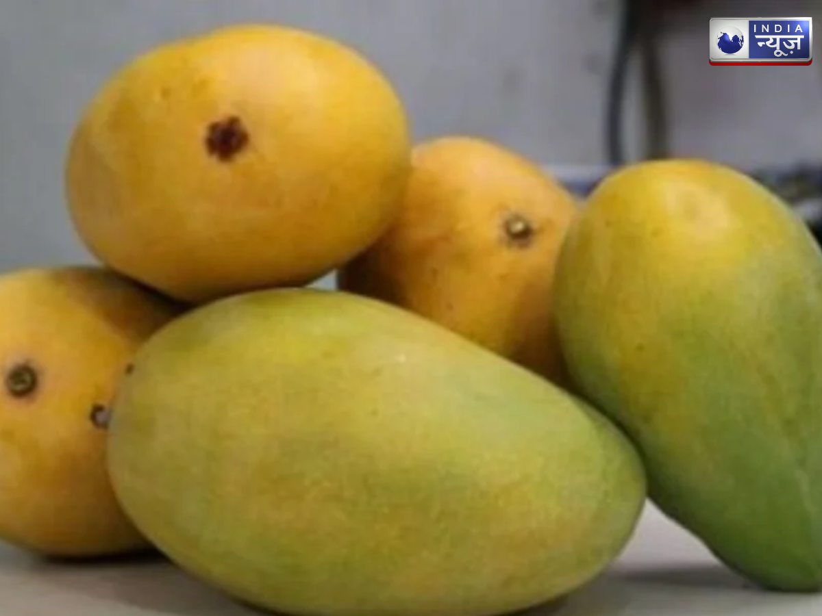 dasheri aam - Photo Gallery