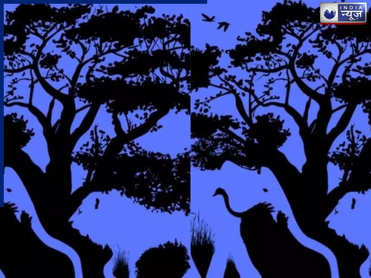 Optical Illusion: इस तस्वीर में सबसे पहले हाथी, शेर या पक्षी क्या दिखा? आपका जवाब बताएगाआप कितने समझदार हैं