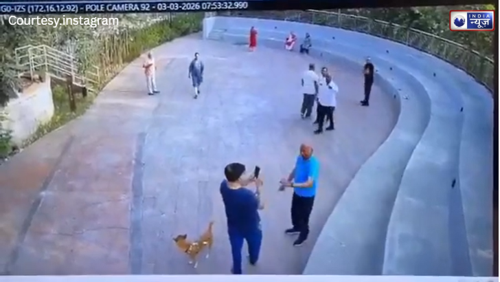 कुत्ते की खातिर पिटे मालिक साहब: रक्षक बनने के बजाय पूंछ दबाकर भागा कुत्ता, वीडियो वायरल!