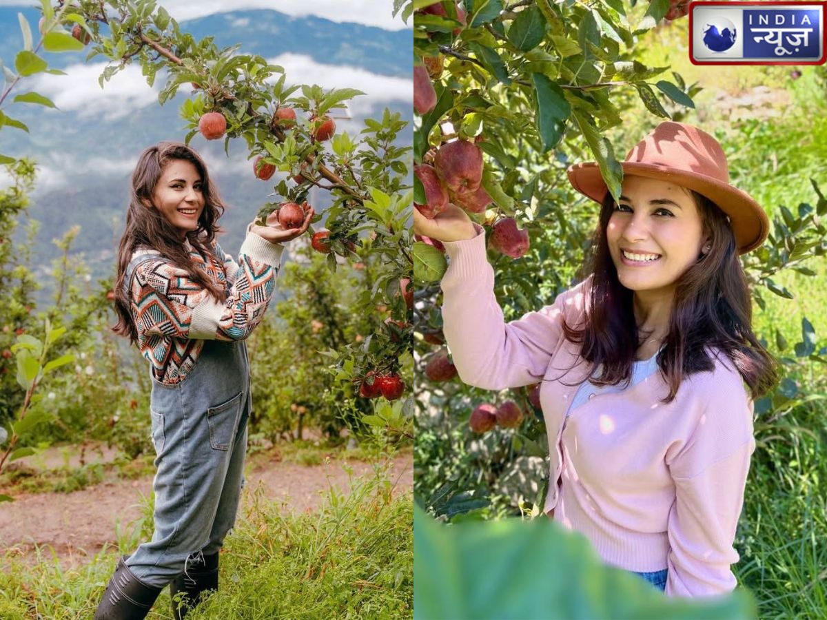 300 रुपये किलो बिकते सेब ने बदली सोच, डिजिटल प्लेटफॉर्म से तीन गुना बढ़ाई आमदनी, ऐसे बनाई स्मार्ट फार्मिंग