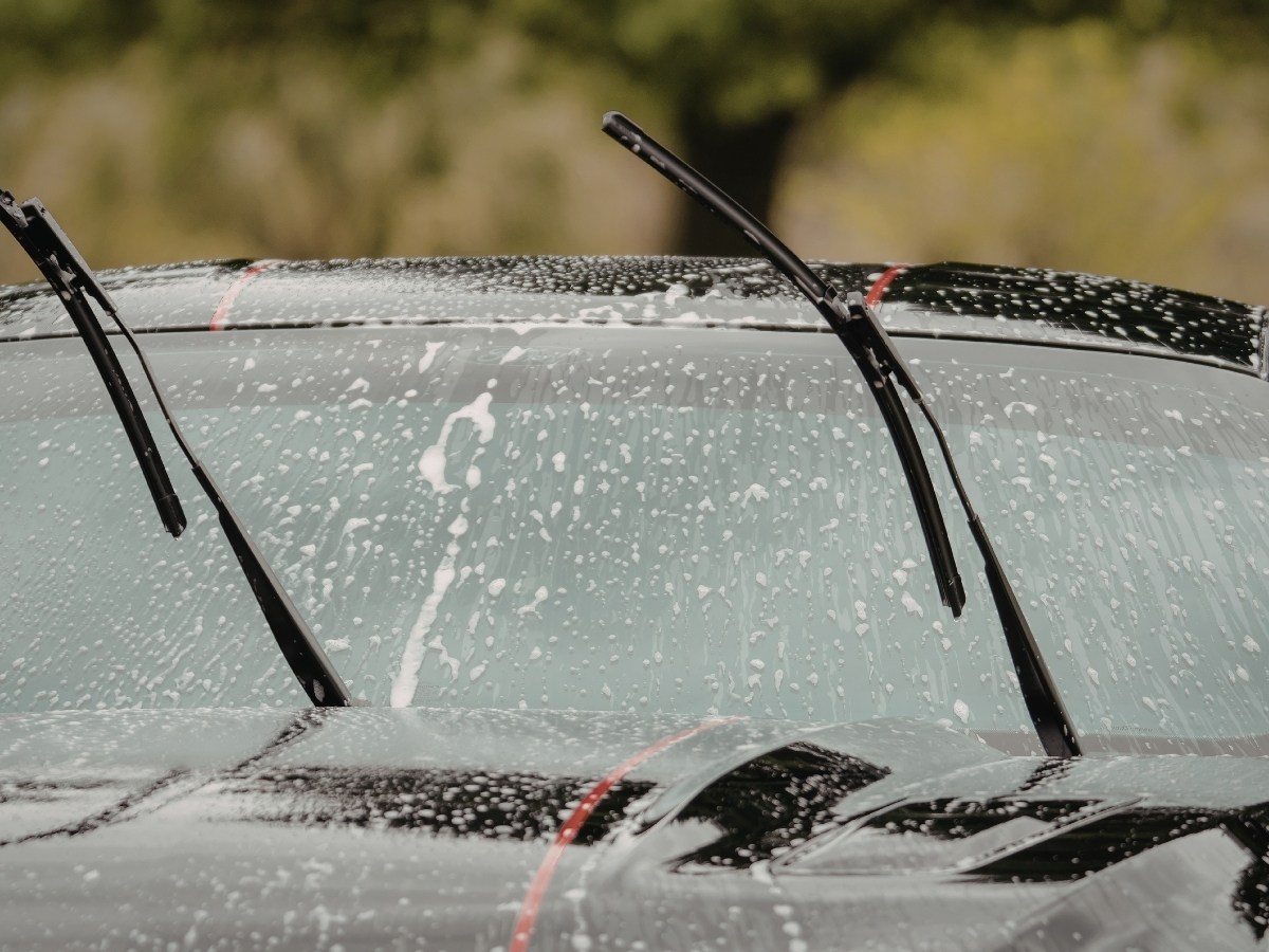 Increases Visibility - Photo Gallery