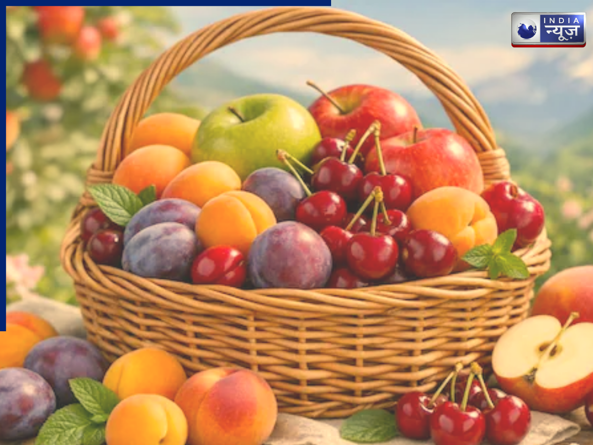 न जम्मू कश्मीर, न नासिक, ये राज्य है देश का ‘फ्रूट बाउल ऑफ इंडिया’, नाम जानकर रह जाएंगे दंग