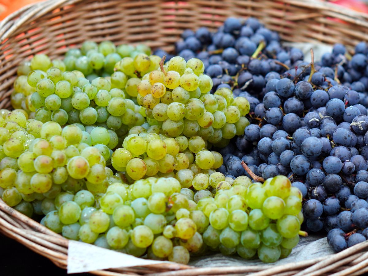 fruits should be avoided in diabetes - Photo Gallery