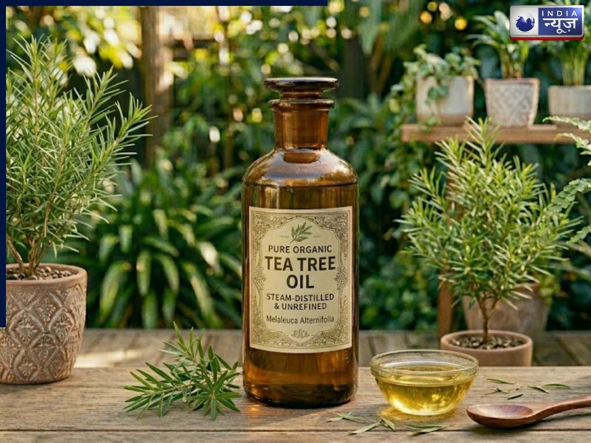 Apply Tea Tree Oil with Olive Oil for Hair Growth - Photo Gallery