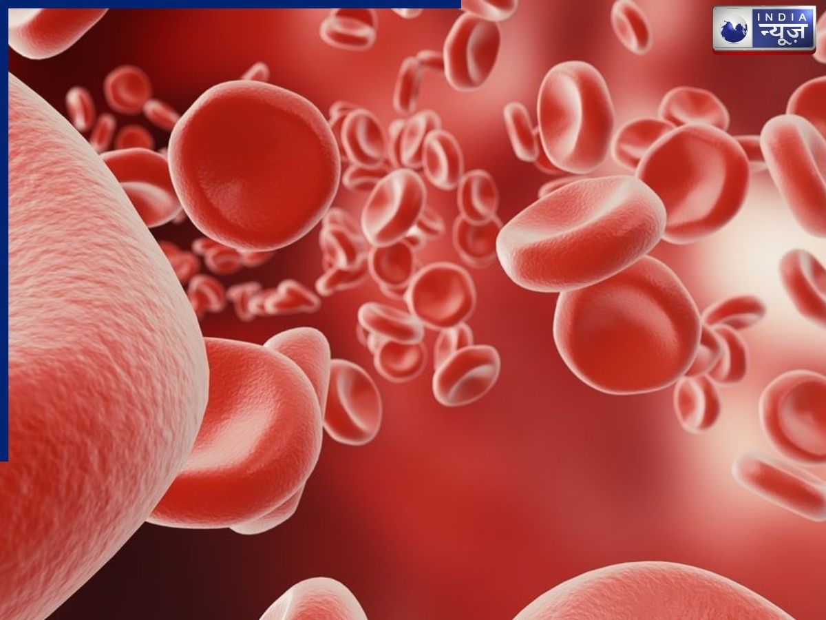 हीमोग्लोबिन बढ़ाने के आसान तरीके, आयरन से भरपूर खाद्य पदार्थ, डाइट में ऐसे बढ़ाएं आयरन का अवशोषण