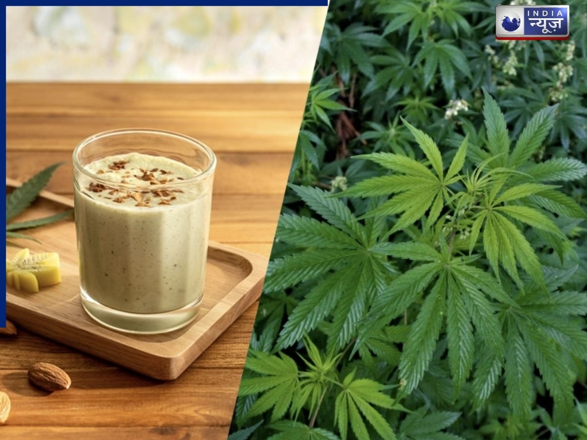 भांग होली स्पेशल ड्रिंक या खतरा? क्या है इसके नुकसान? दिल्ली के डॉक्टर की चेतावनी
