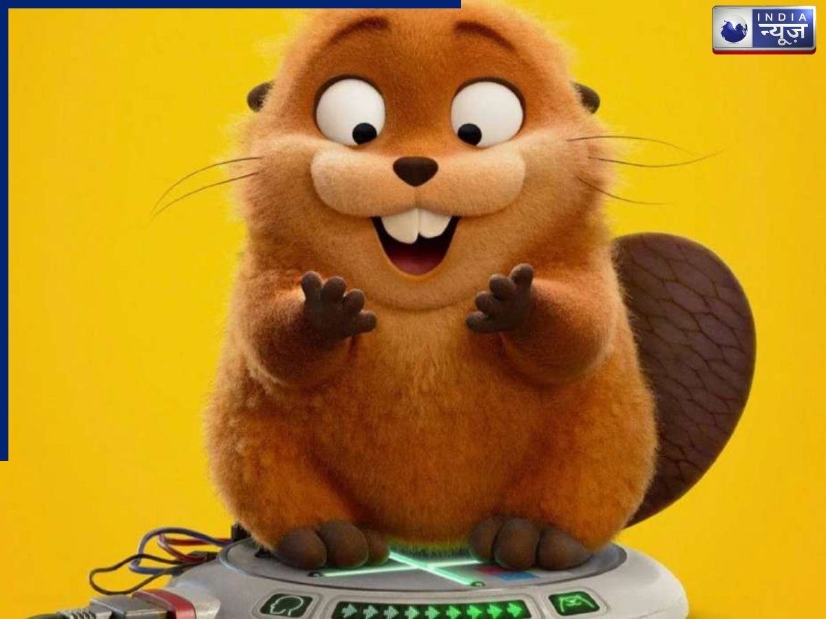 Hopper BO Collection - Photo Gallery