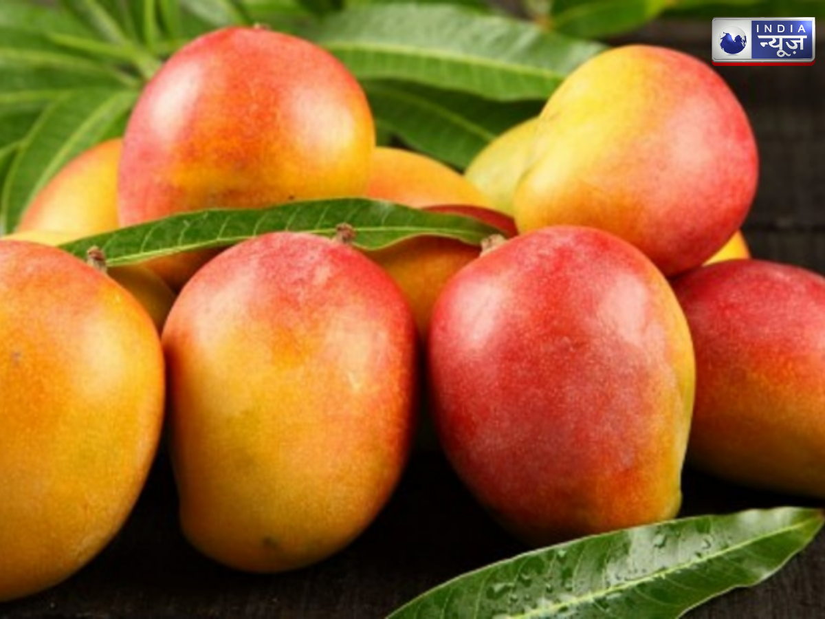 husnaara aam - Photo Gallery