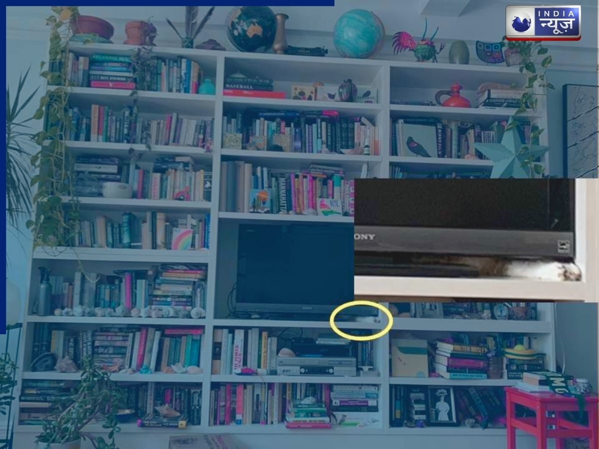 Iran Earthquake news 1