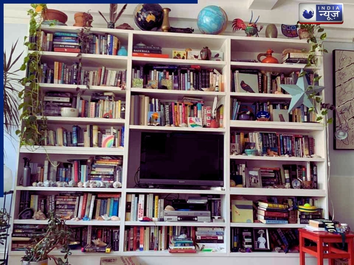 Optical Illusion: अगर खुद को समझते हो जीनियस तो 10 सेकंड में छिपी हुई बिल्ली को खोजकर दिखाएं!