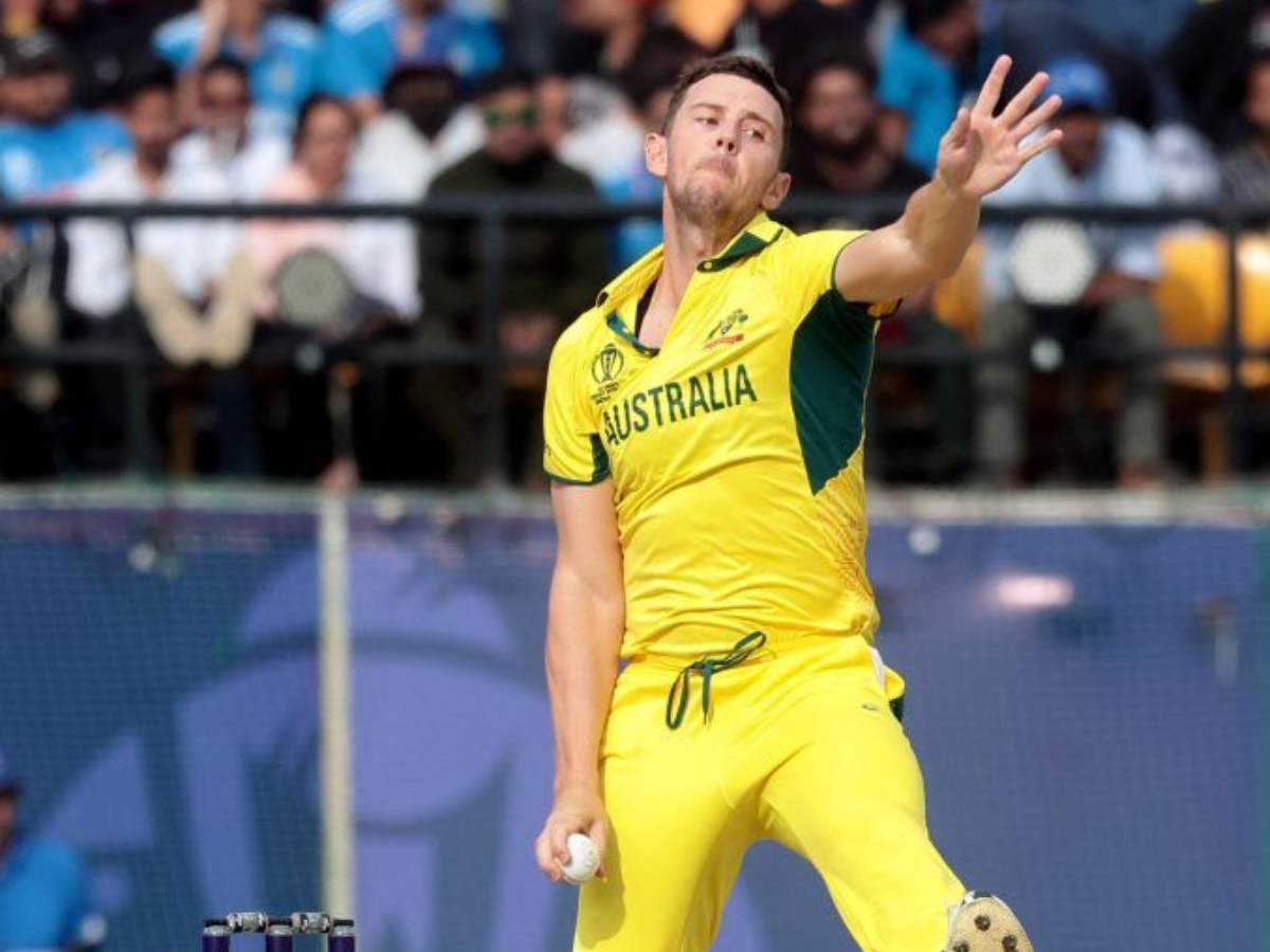 Josh Hazlewood world cup winner - Photo Gallery