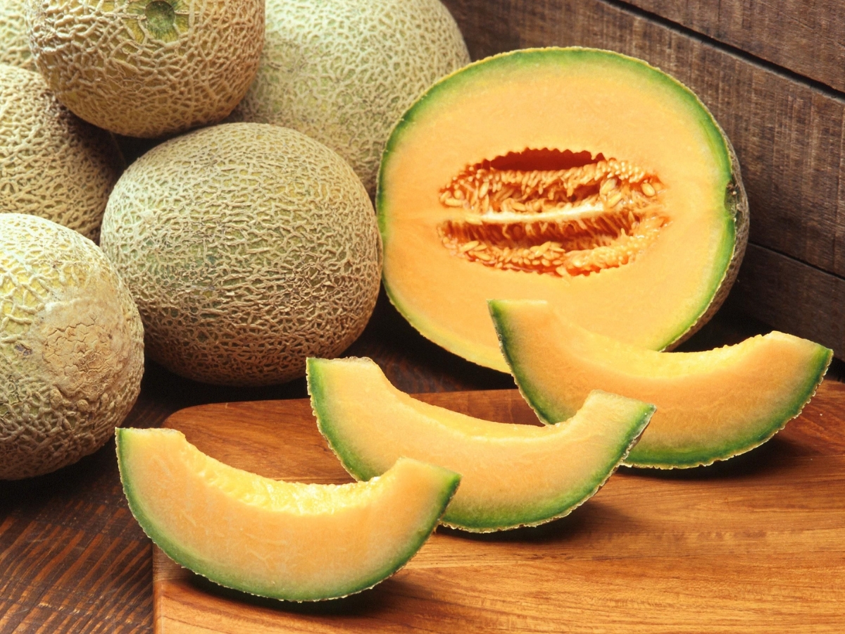 muskmelon - Photo Gallery
