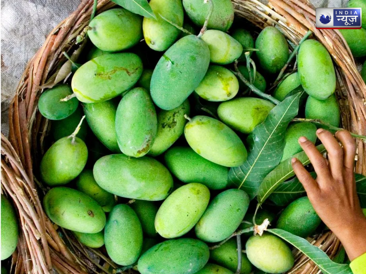 langda aam - Photo Gallery