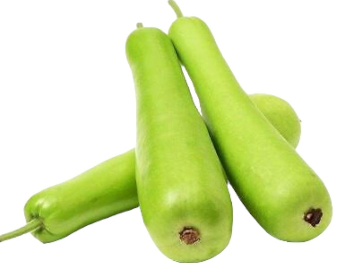 Lauki Benefits in Fasting - Photo Gallery