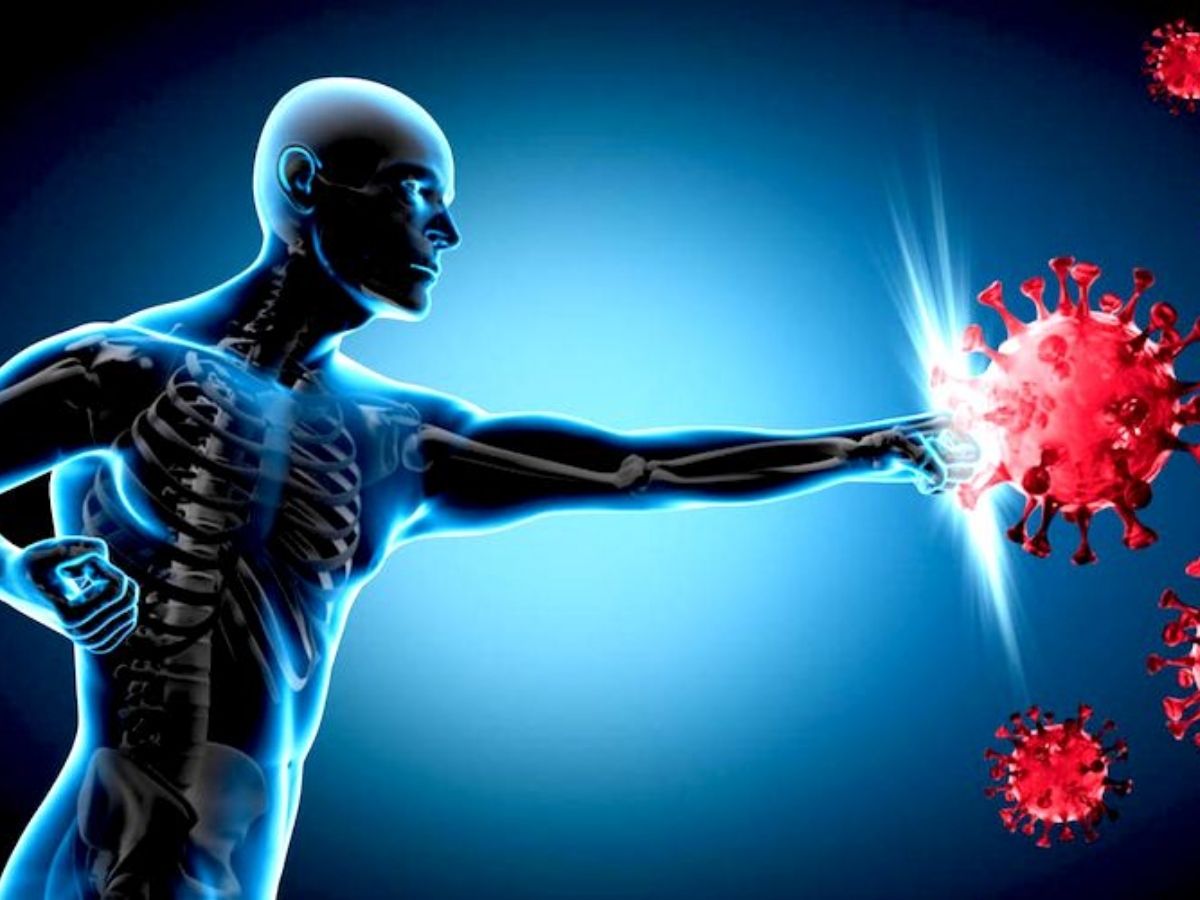 Loquat and Its Anti-Cancer Benefits - Photo Gallery