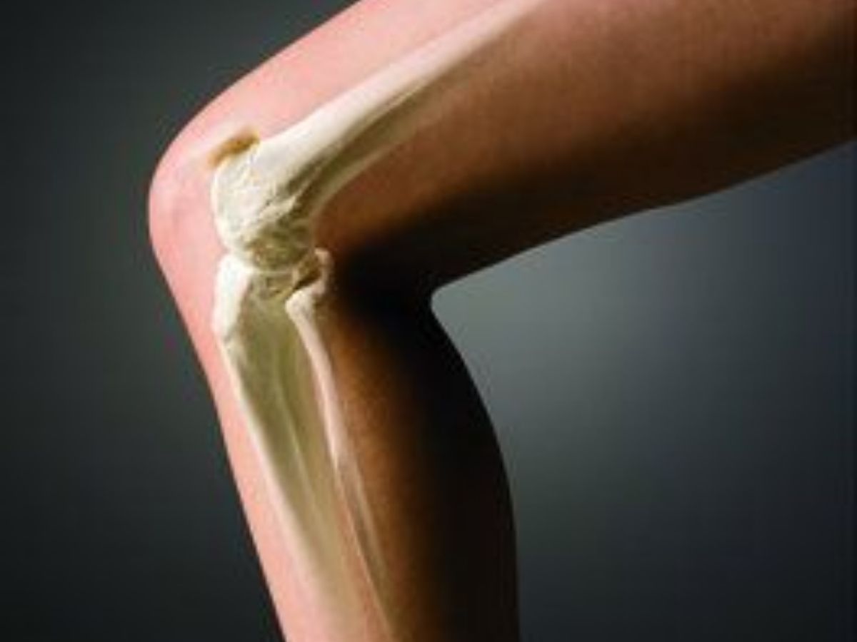 Loquat for Strong and Healthy Bones - Photo Gallery