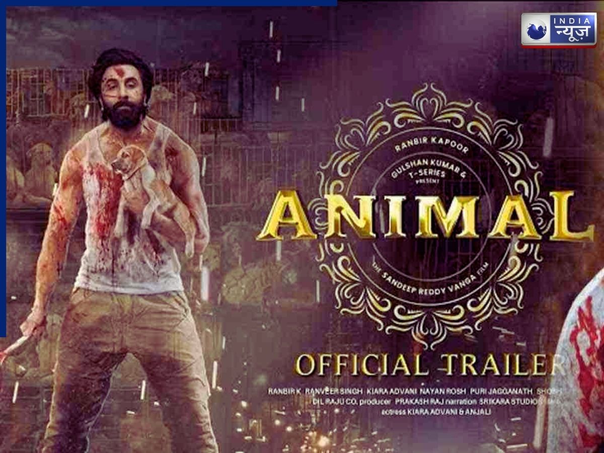 Animal also has excellent collections - Photo Gallery