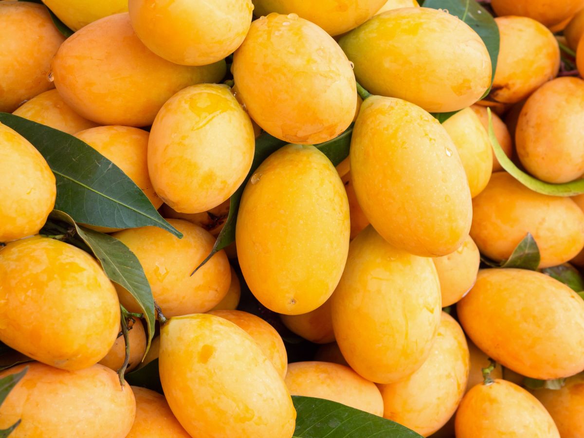 fruits should be avoided in diabetes - Photo Gallery