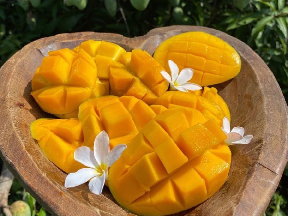 mango - Photo Gallery