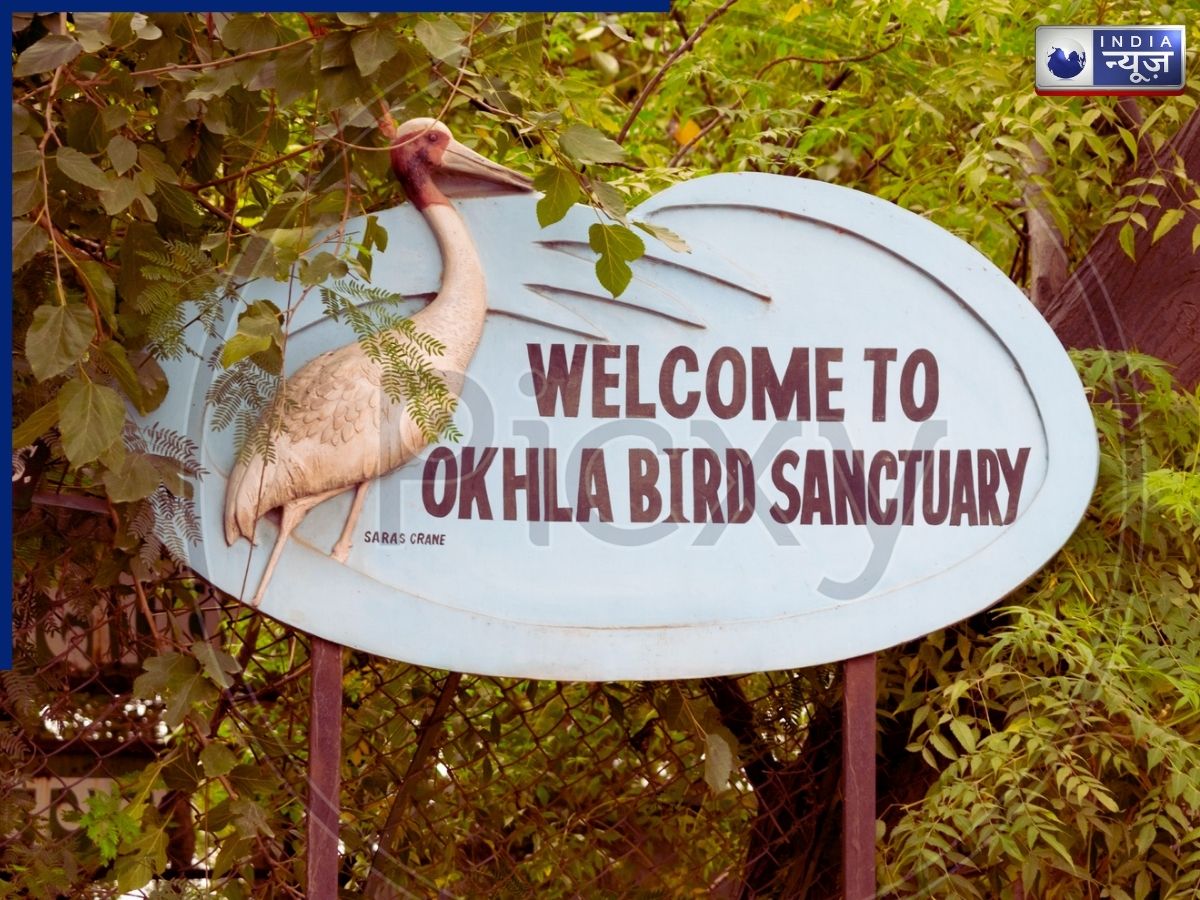 Okhla Bird Sanctuary - Photo Gallery